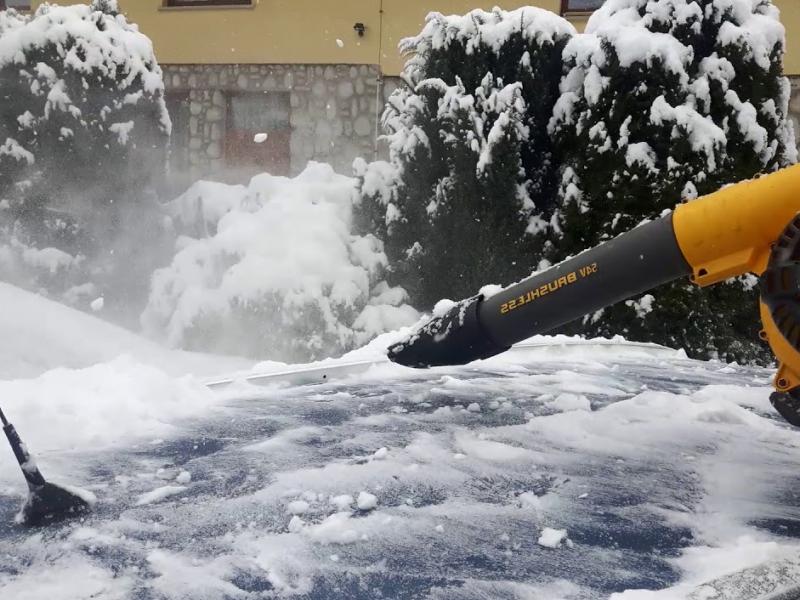 Воздуходувки Dewalt